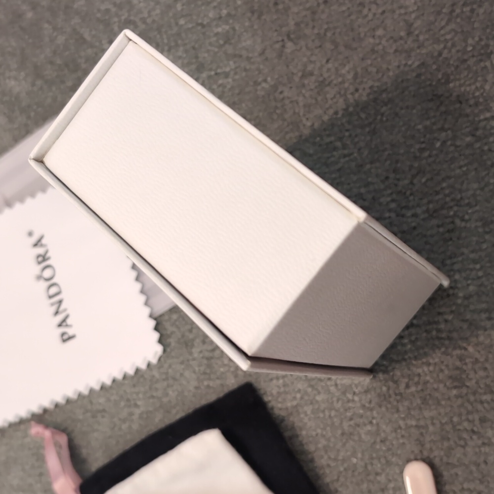 Pandora Cleaning Kit + Polishing Cloth - Picture 12 of 14